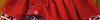 Portfolio Thumbnail